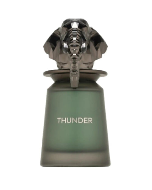 French Avenue Thunder (100ml) - FragranceGems